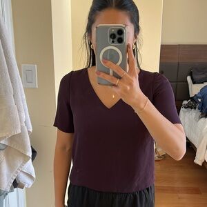 Aritzia Babaton Short sleeve Blouse